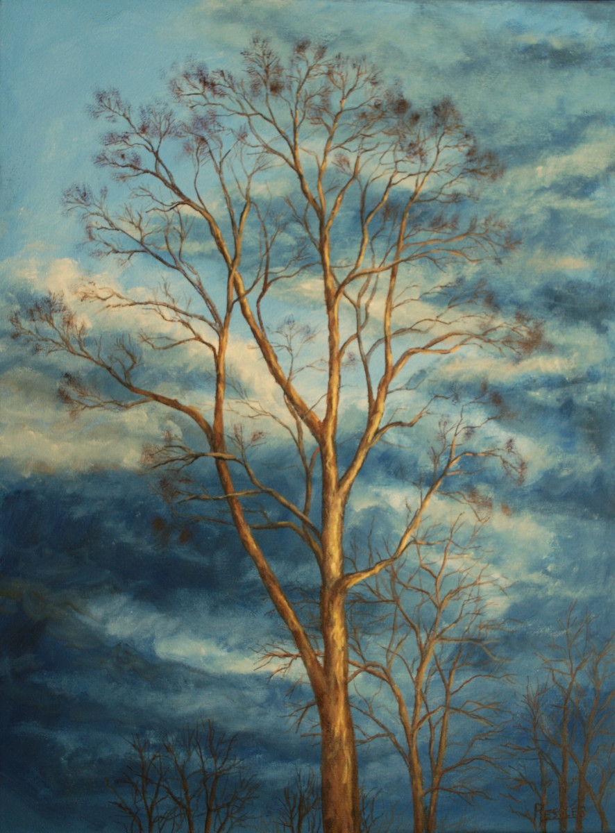 Towering Oak Against A Fall Sky
